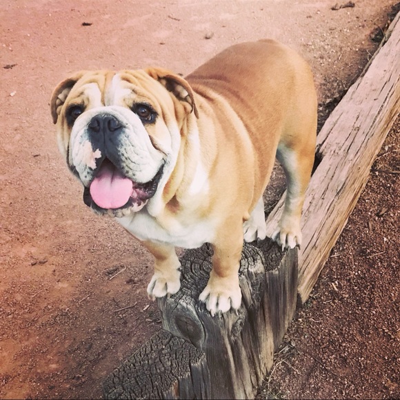 Meet your Posher, Karina - Picture 1 of 3